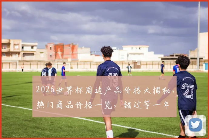 2026世界杯周边产品价格大揭秘，热门商品价格一览，错过等一年